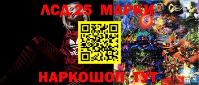 ПСИЛОЦИБИНОВЫЕ ГРИБЫ Бузулук