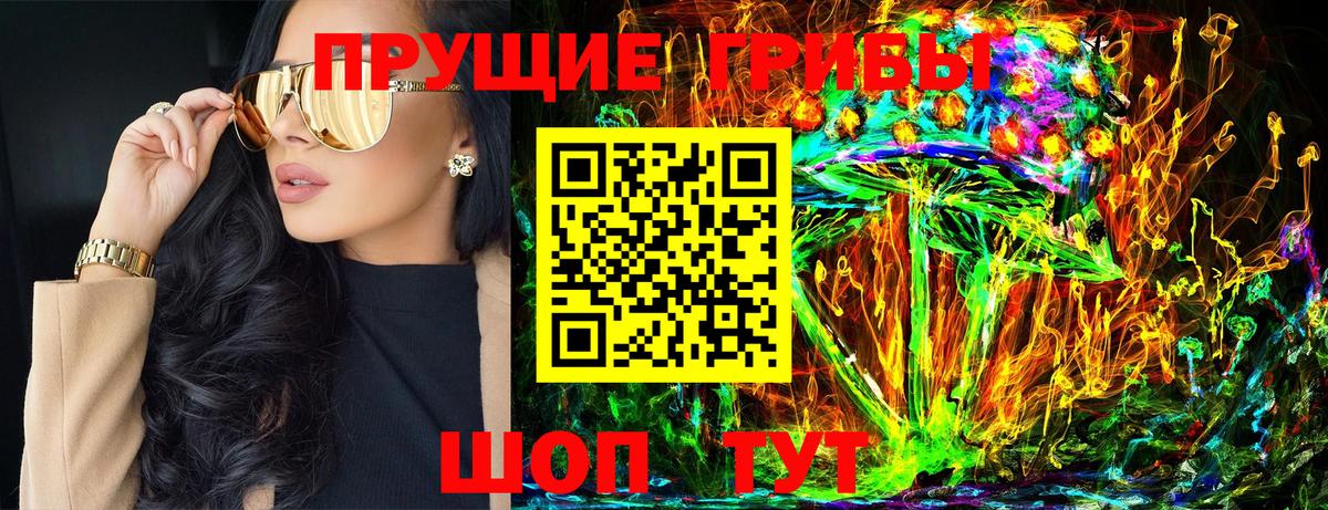 Псилоцибиновые грибы Psilocybe  Вход с VPN  Петропавловск-Камчатский 