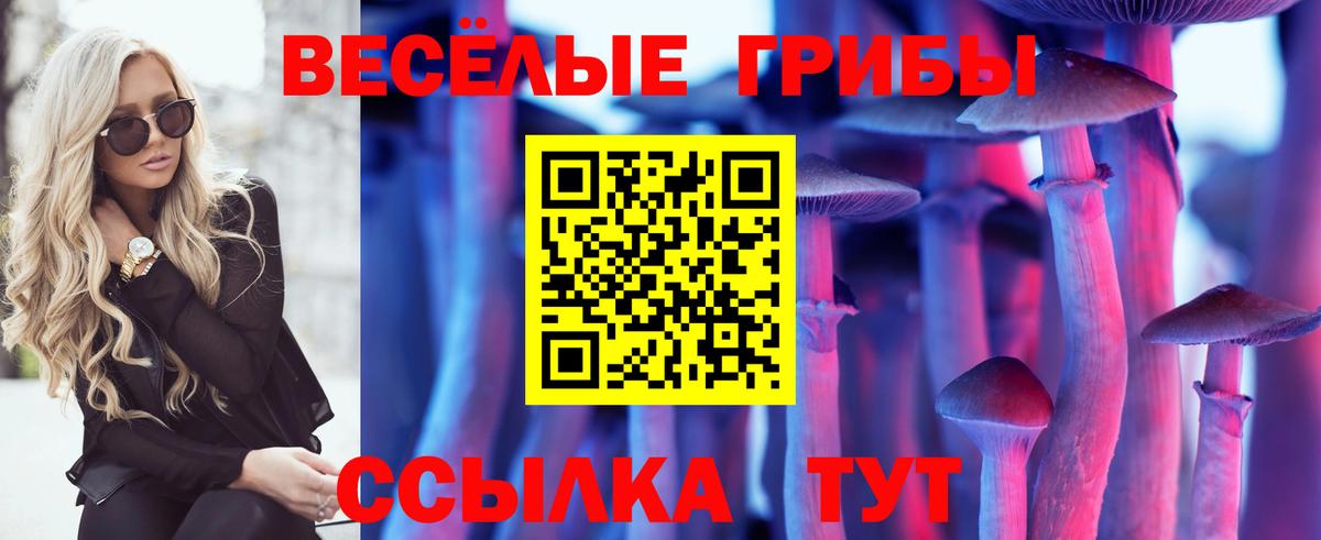 Псилоцибиновые грибы MAGIC MUSHROOMS Петропавловск-Камчатский